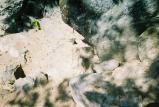 img002.jpeg.small.jpeg