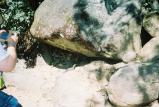 img003.jpeg.small.jpeg