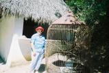img004.jpeg.small.jpeg