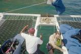 img008.jpeg.small.jpeg