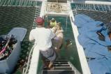 img011.jpeg.small.jpeg