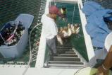 img012.jpeg.small.jpeg