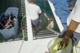 img013.jpeg.small.jpeg