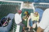 img015.jpeg.small.jpeg