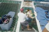 img016.jpeg.small.jpeg