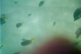 img022.jpeg.small.jpeg