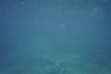 img025.jpeg.small.jpeg